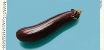 가지 효능 혈압 당뇨 관리 도움 정보_7