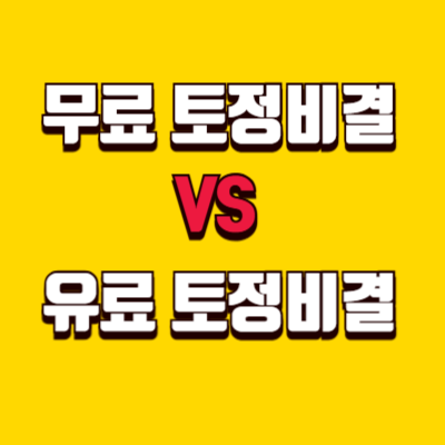 신년 토정비결 제대로 보기