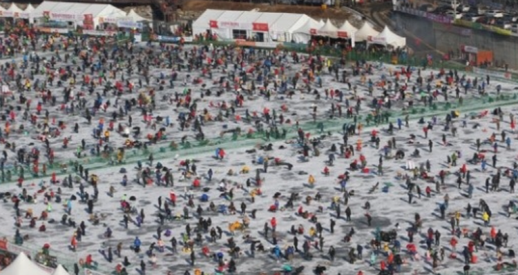 화천 산천어축제