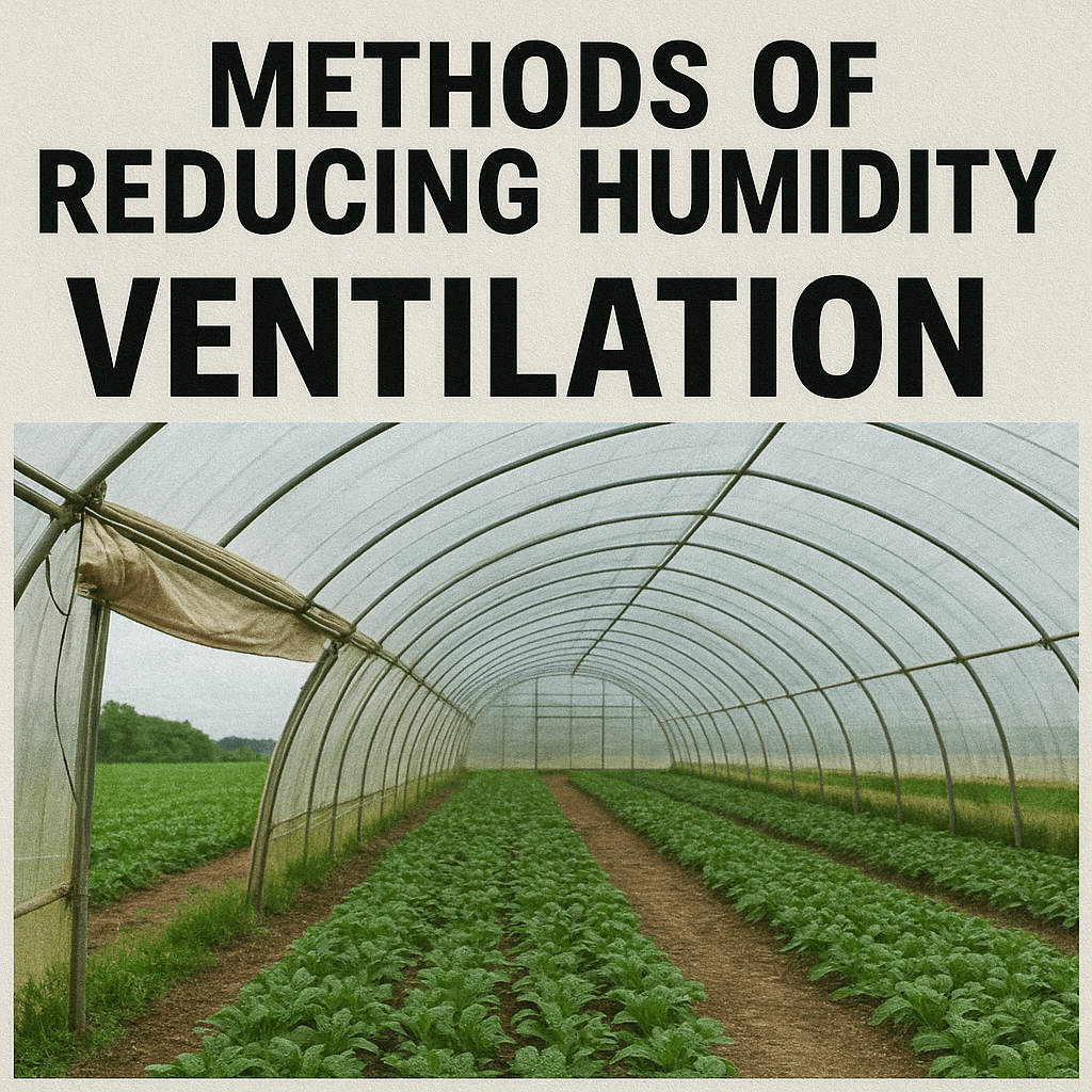 비닐하우스 관련 사진