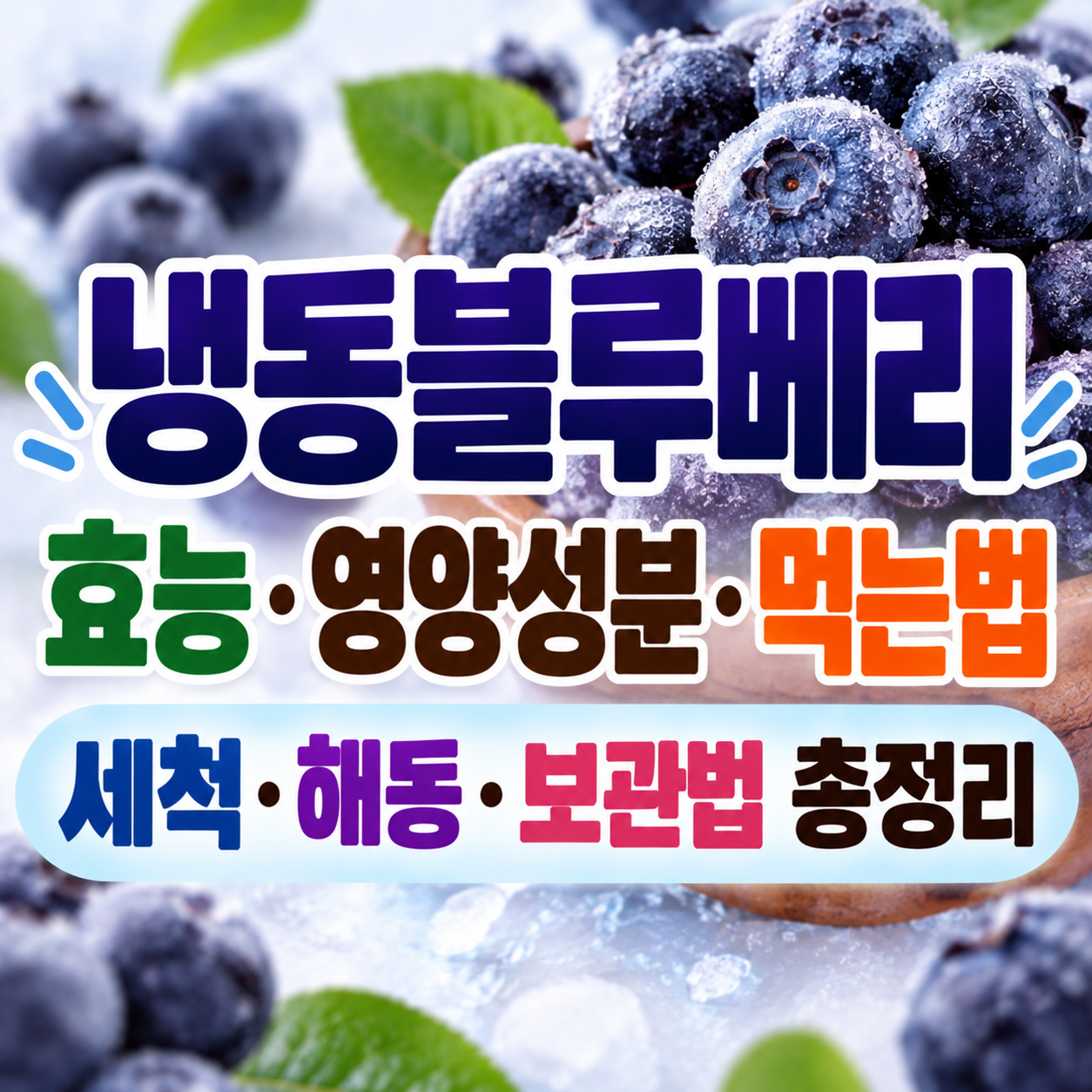 냉동블루베리 효능