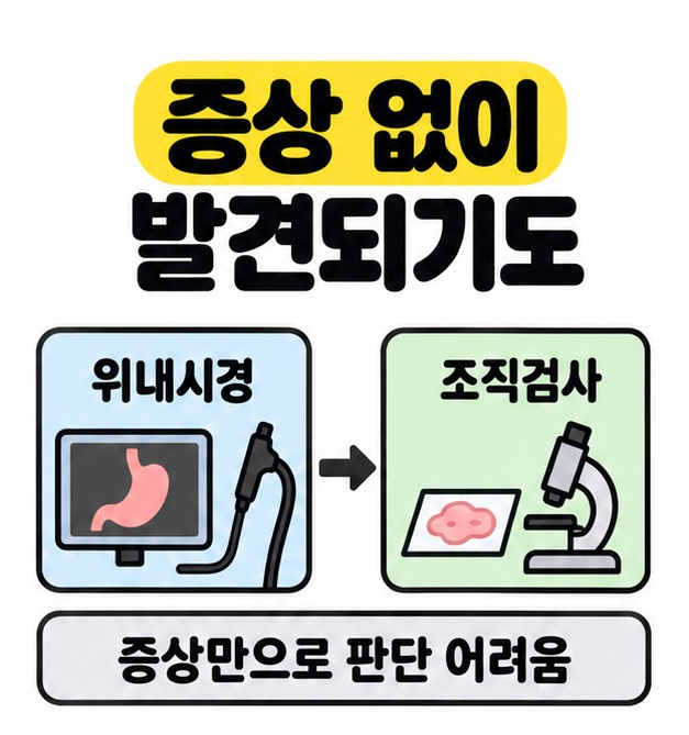 증상 없이 발견되기도 한다는 제목 아래 위내시경 장비와 조직검사 현미경을 화살표로 연결하고 증상만으로 판단하기 어렵다고 안내한 그림
