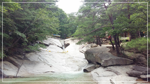 반복된 일상 숲캉스로 치유