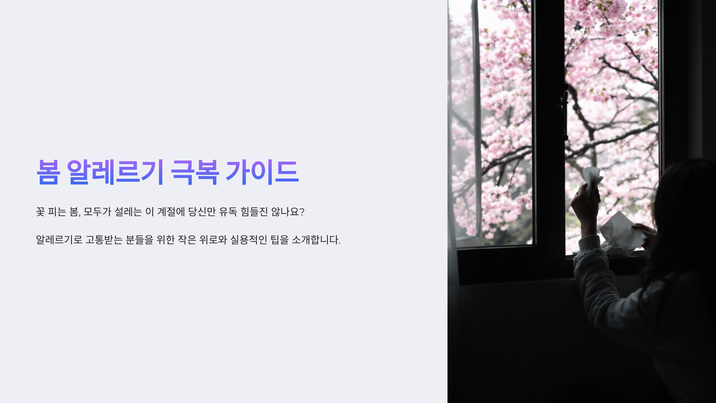 봄 알레르기 극복 가이드