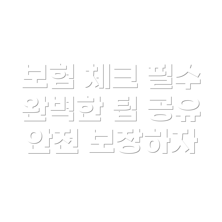 자동차 보험 보장