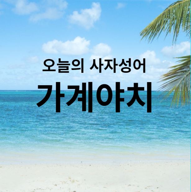 가계야치