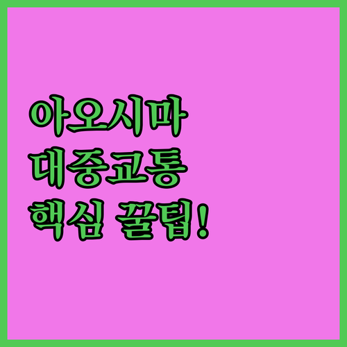아오시마 대중교통 이용 가이드 버스정..