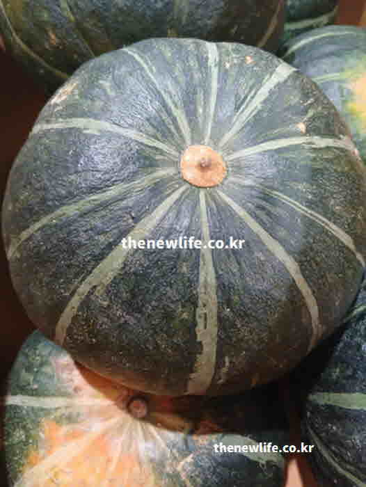 단호박 효능 노화 방지
