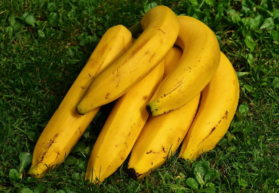 위암에 좋은 음식 바나나