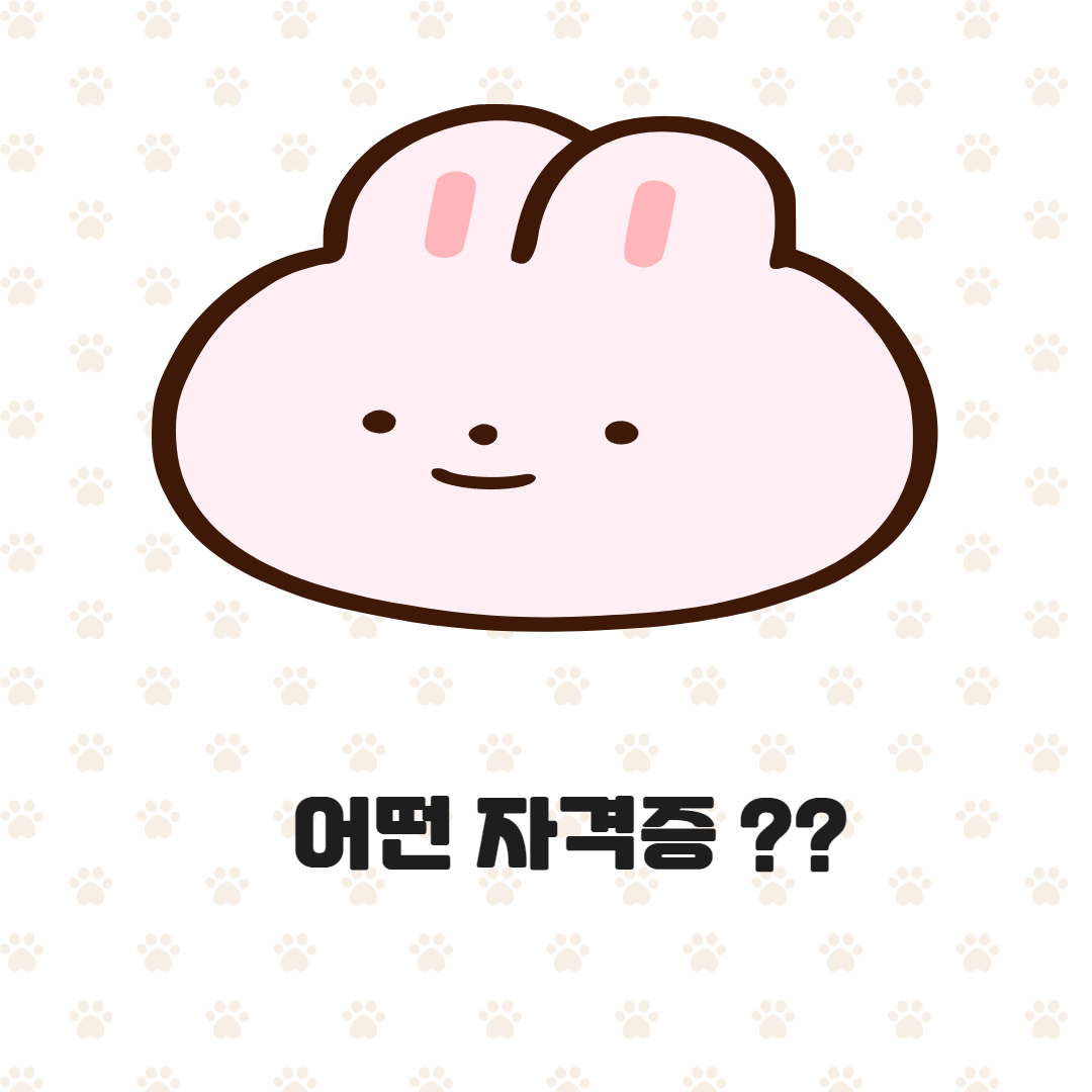 자격증 추천