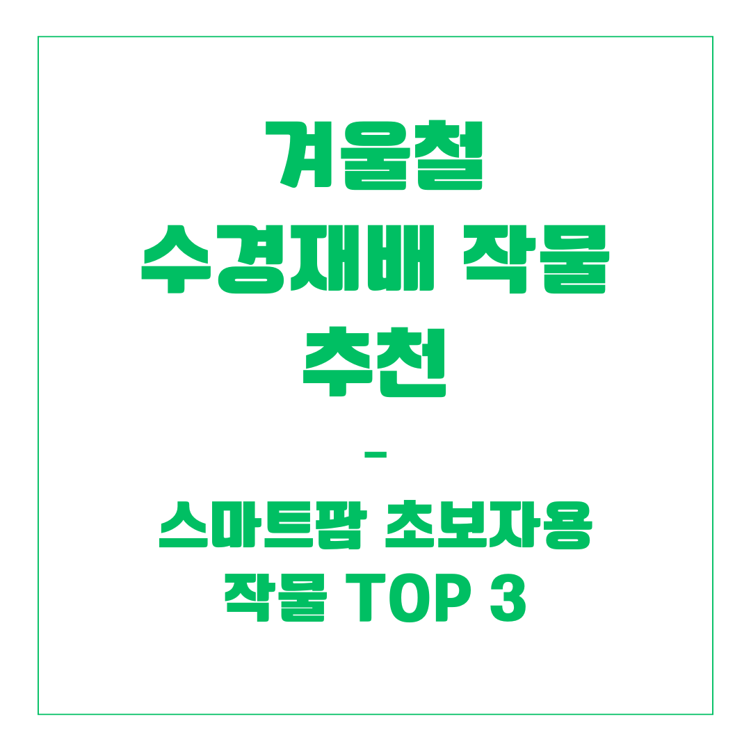 겨울철 수경재배 작물 추천 &ndash; 스마트팜 초보자용 작물 TOP3