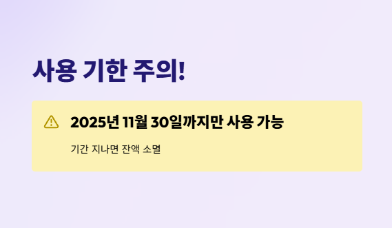 소비쿠폰주유소사용