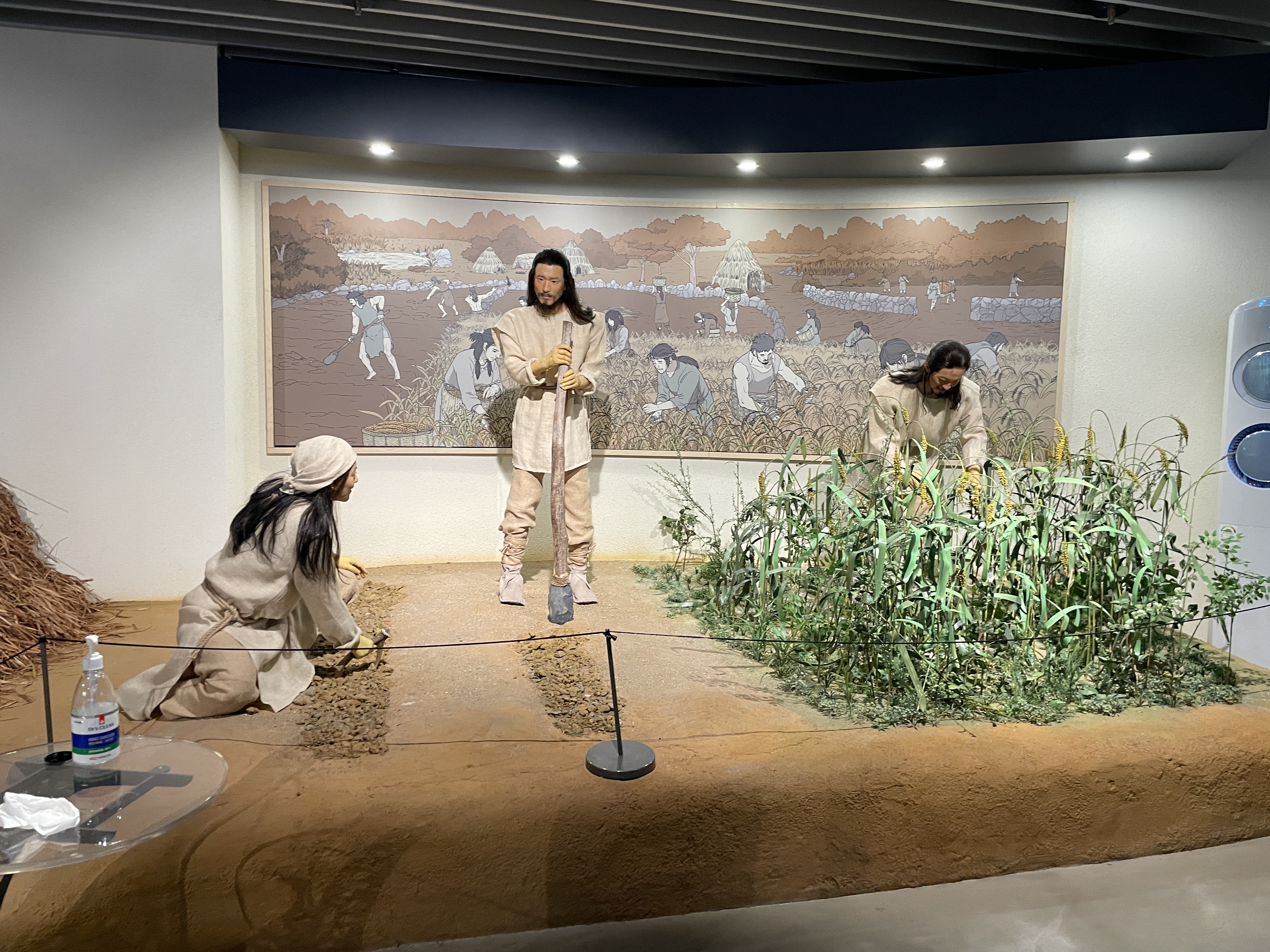 시흥 오이도 박물관 어린이 체험 예약 관련사진