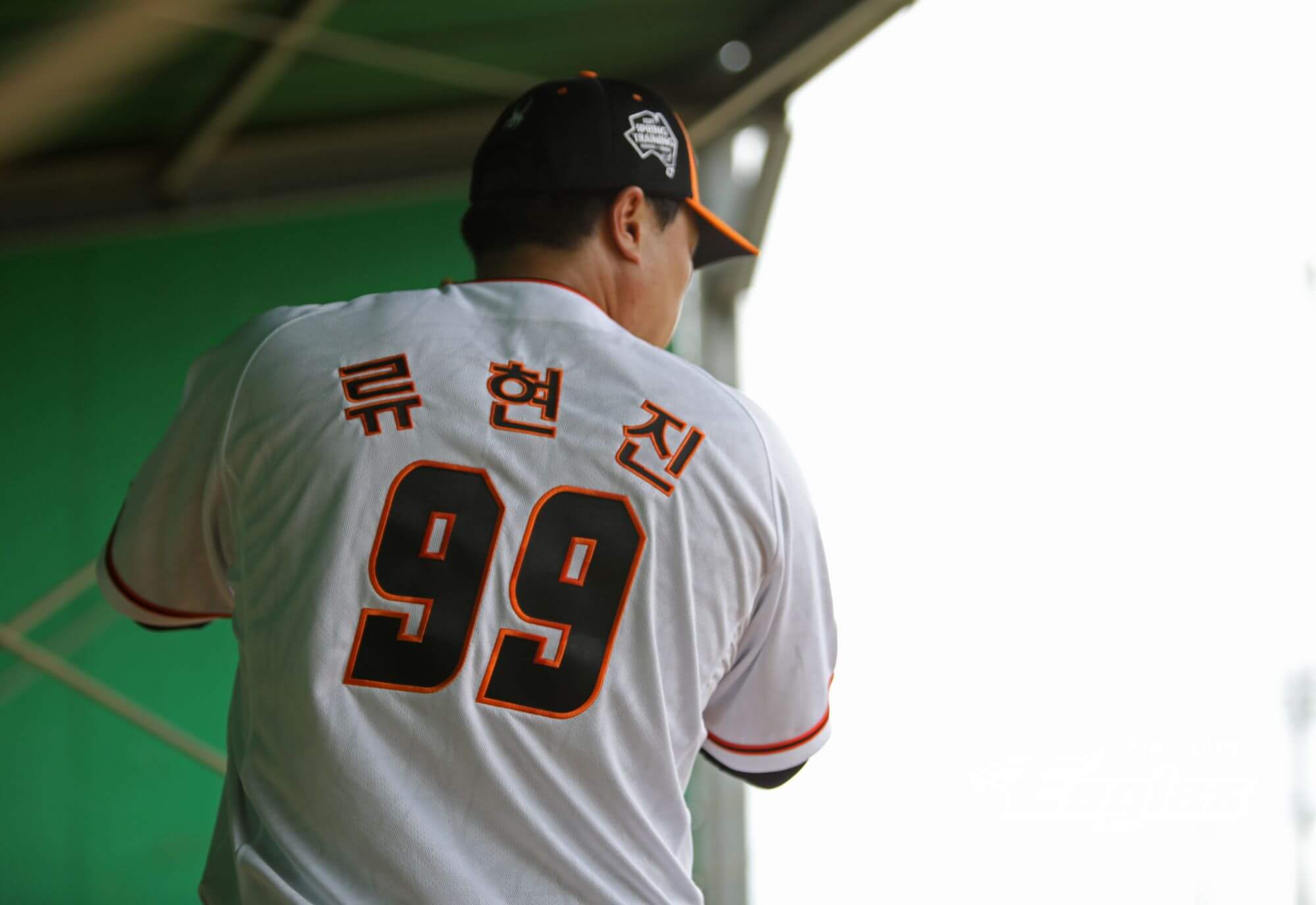 2024 한화 이글스 티켓 할인 예매, 무료 주차, 좌석 종류 및 특징, 경기일정 및 결과