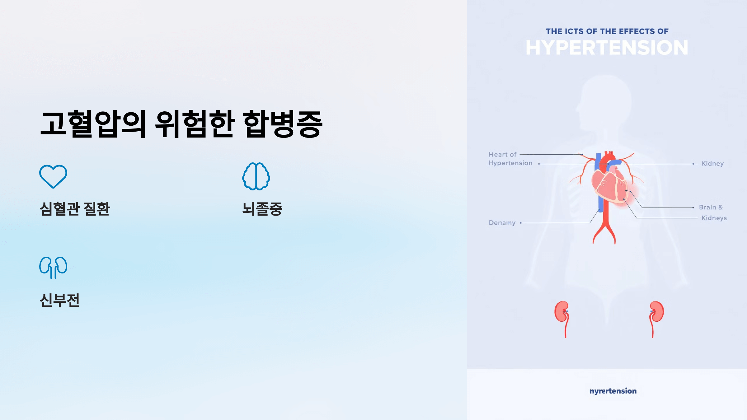 고혈압과 관련된 사진입니다.