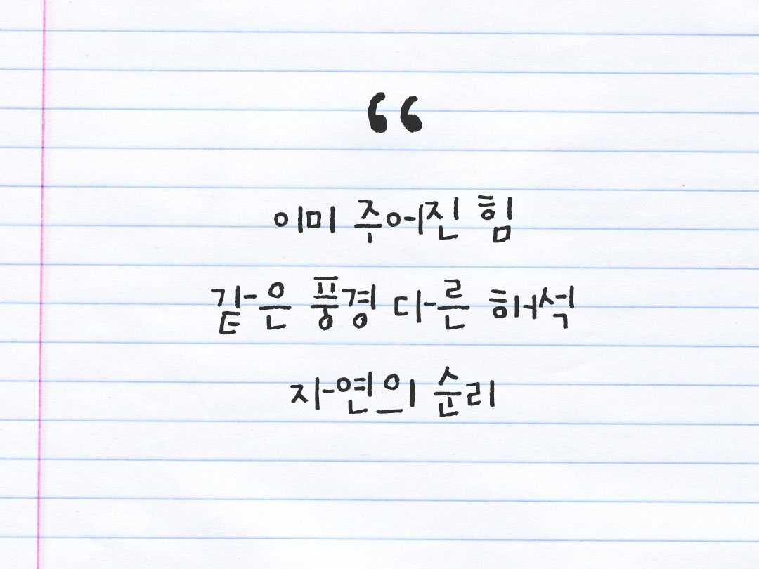 2026년 2월 16일 피어나네 감사노트|일상을 행복으로 바꾸는 기록 하루 3줄 감사일기