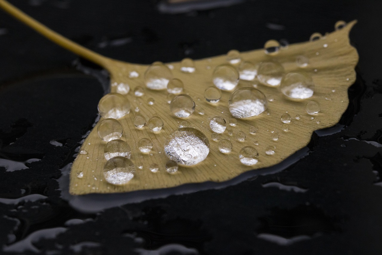 비 오는 날 더 아름다운 여행지 추천 – 실내 여행 코스