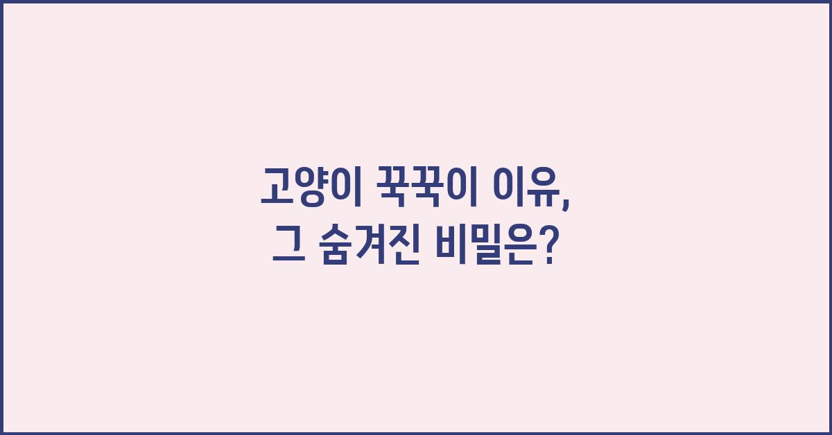 고양이 꾹꾹이 이유