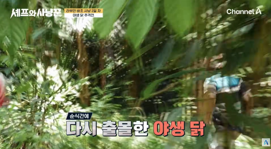 야생닭을 맨손으로 잡았다는 김대호 근황 | 인스티즈