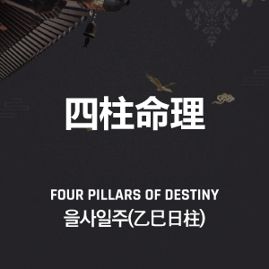 을사일주(乙巳日柱)