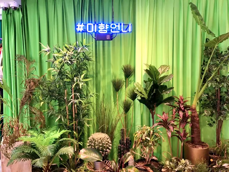 돈 잘버는 젊은사장 홍대 미향언니 레트로 패피 패션 잡화 아날로그 소품 옷가게 서장훈 주우재 추천 소개