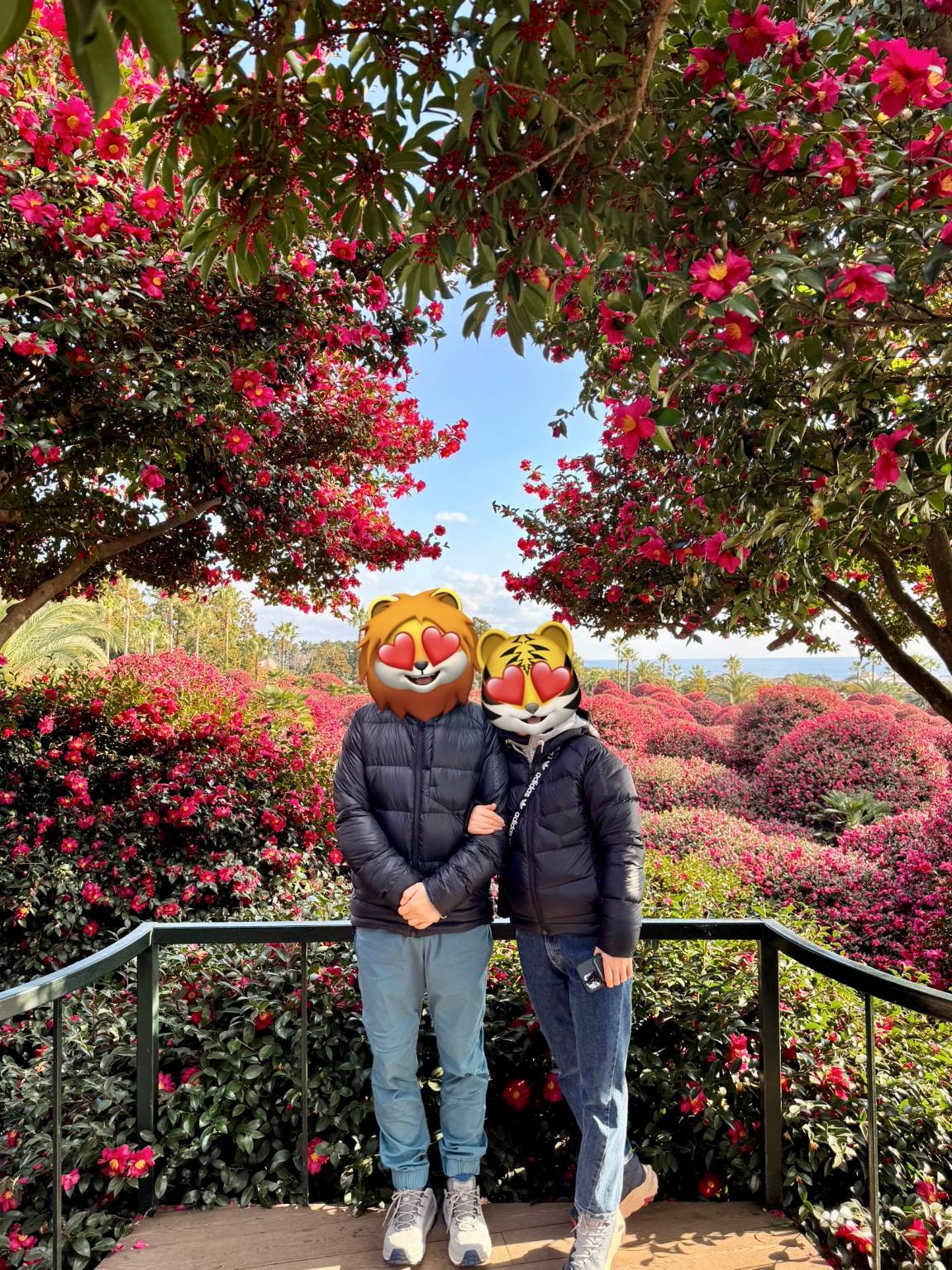 동백수목원 전망대에서 찍은 사진