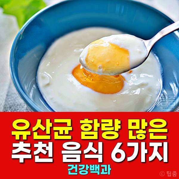 유산균 함량 많은 음식 유산균추천
