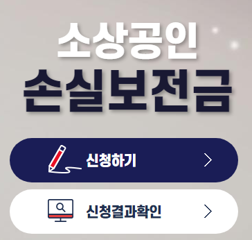 소상공인 손실보전금 확인지급