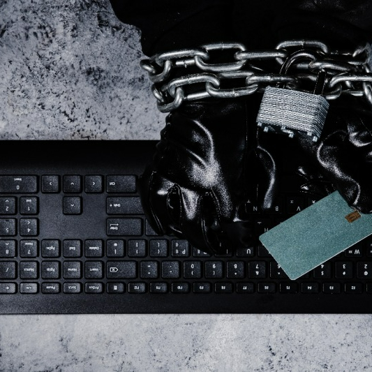 딥페이크피해학교