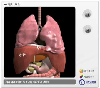 늑막에 물이 차는 이유와 치료 방법_39
