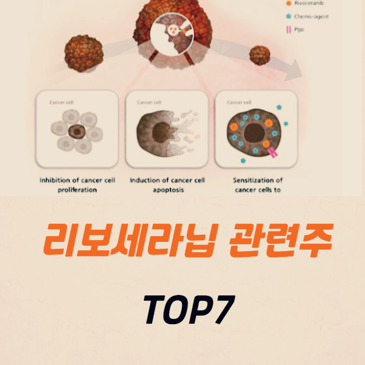 리보세라닙 관련주 hlb그룹주 TOP7