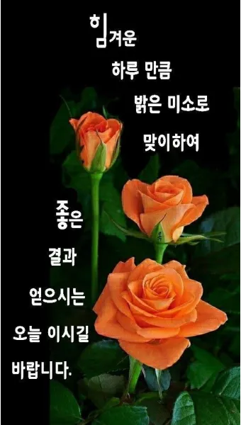 아침 인사로 좋은 글 이쁜글 기분좋은 인사말_2