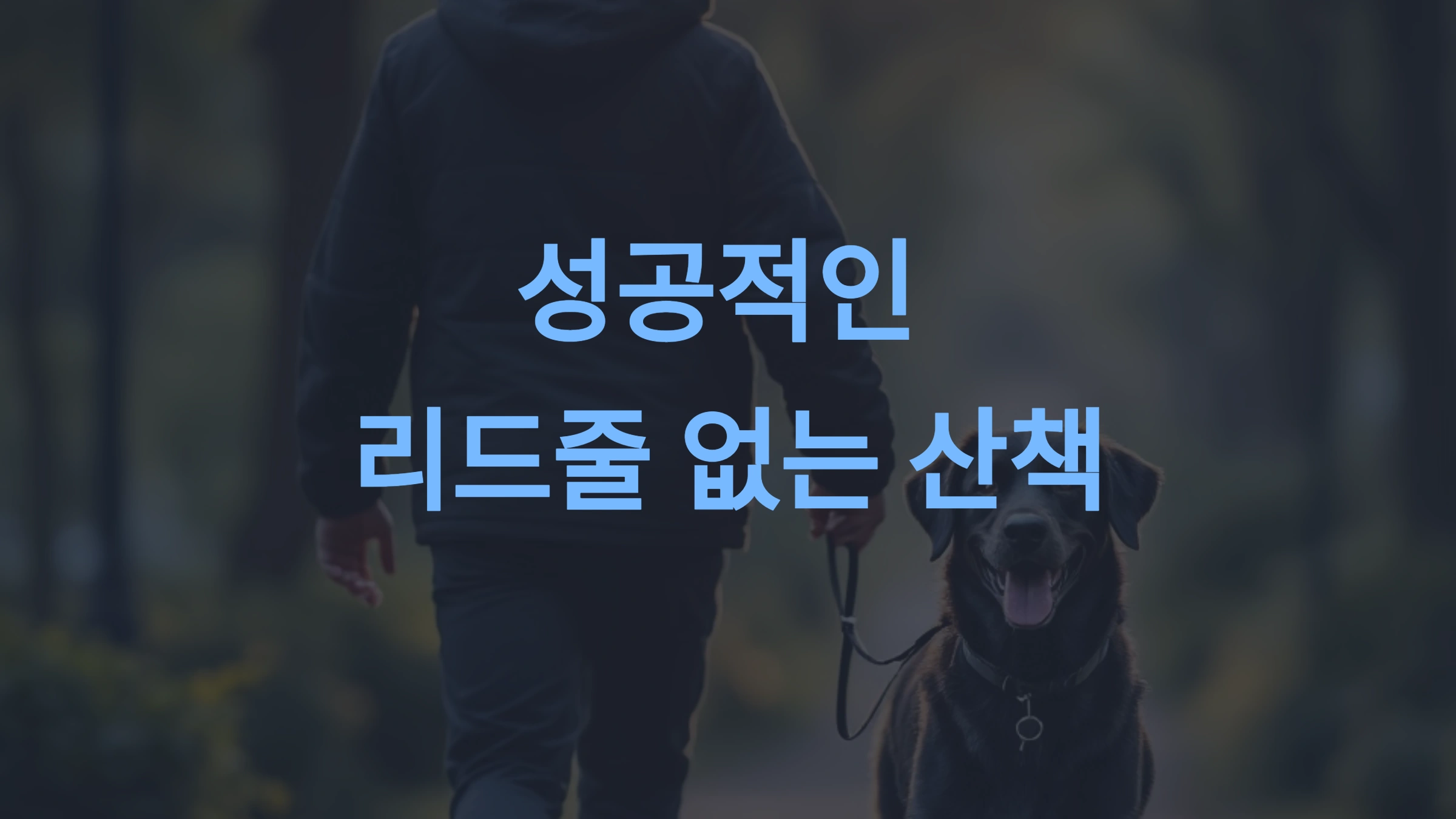 강아지가 리드줄 없이 따라오는 훈련법