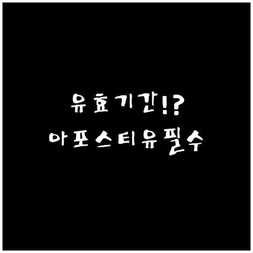 재외공관 혼인신고, 서류 유효기간과 ..