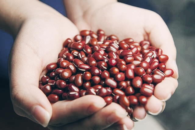 팥 부작용과 섭취 보관방법
