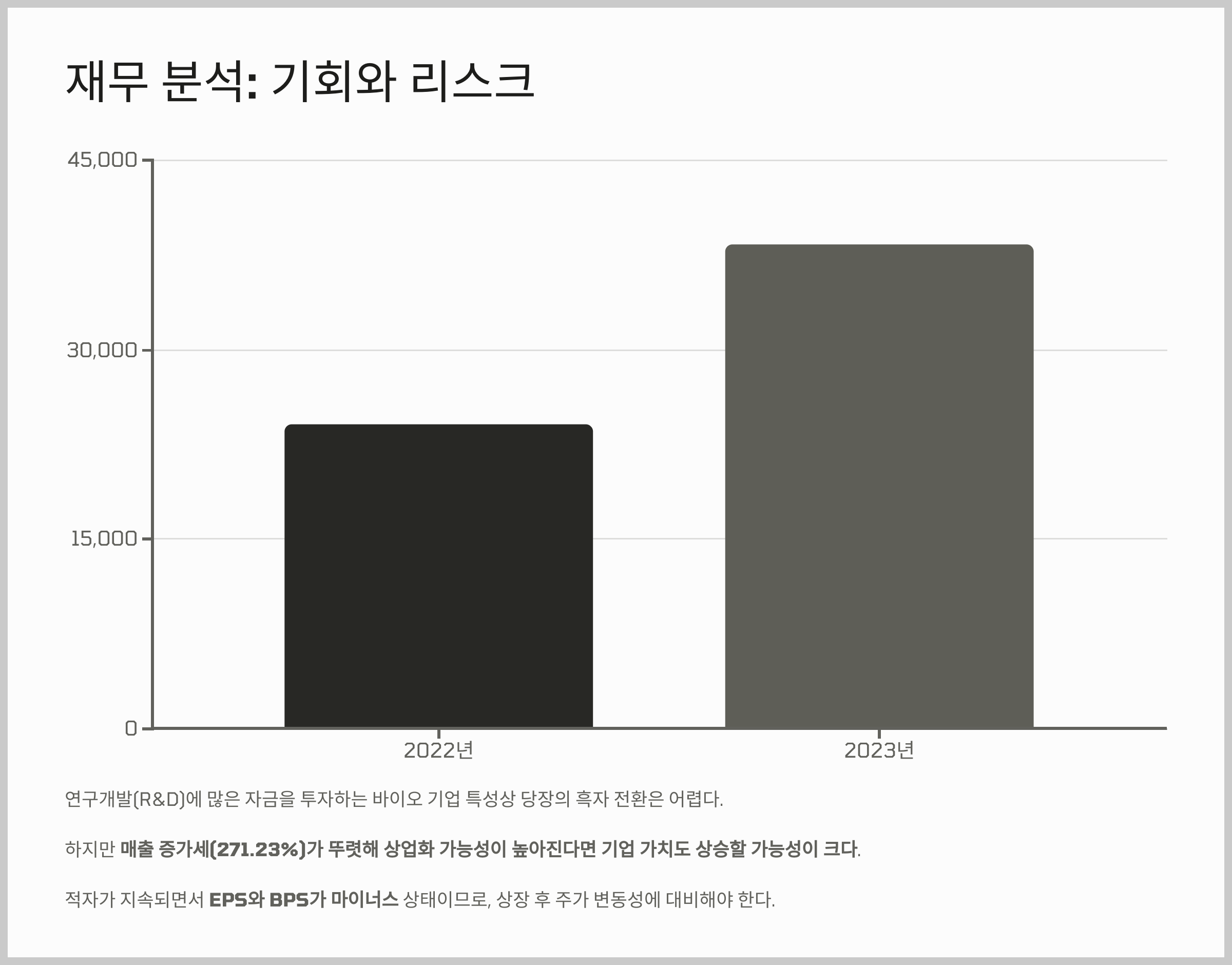 재무 분석: 기회와 리스크