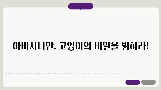 신비한 아비시니안 고양이 품종 탐험 : 수수께끼 풀기