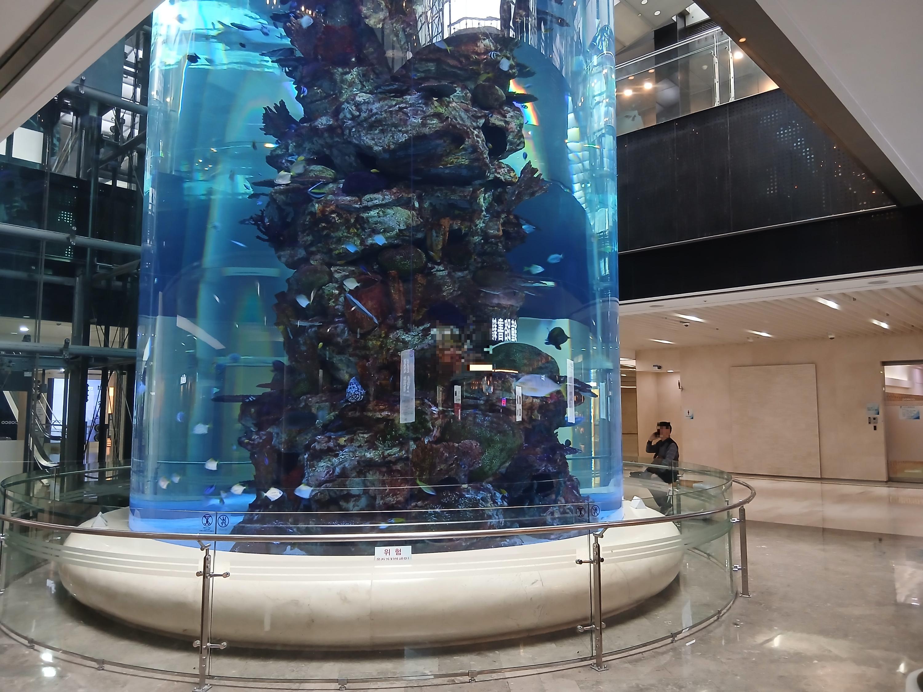 포스코센터 수족관 원형 대형 수조 전경, 코엑스 근처 무료 볼거리