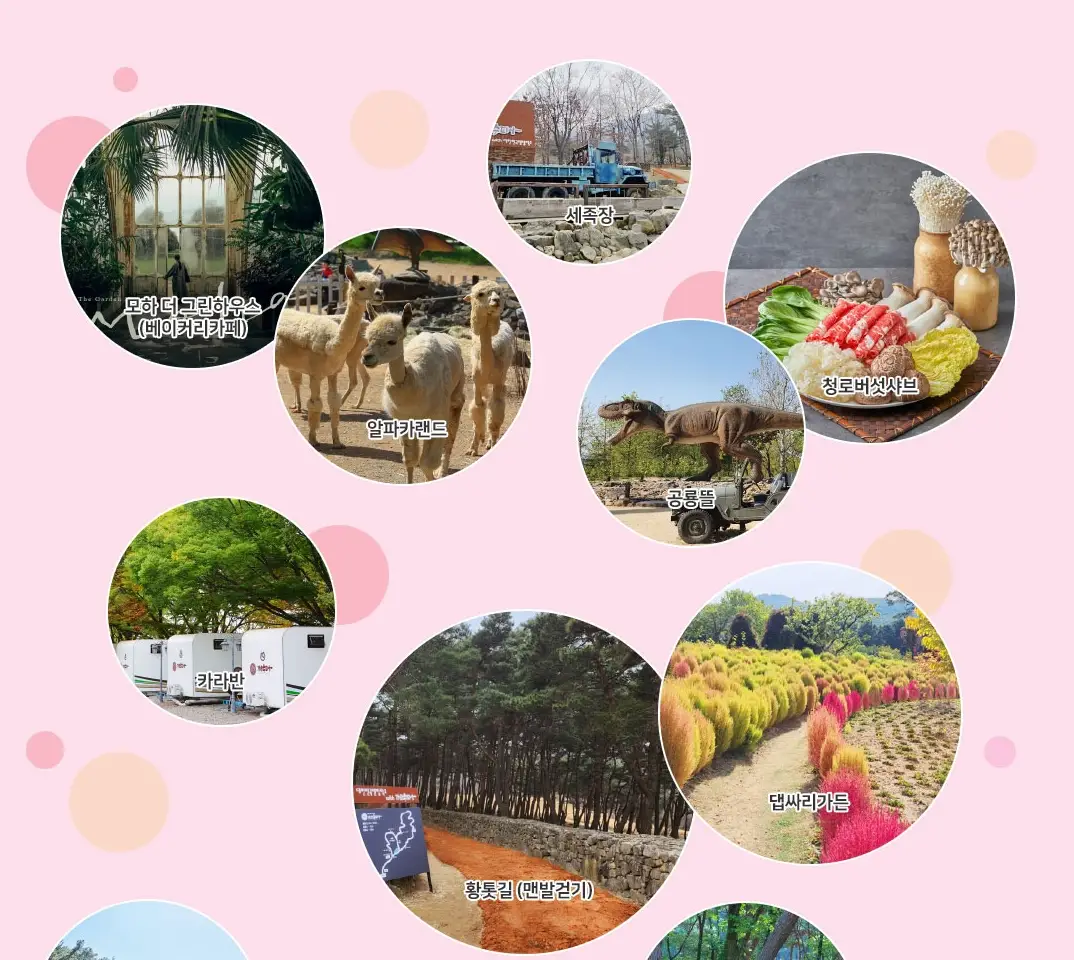 가산수피아-입장료-이용-안내-잠뜰-킴팽징-카라반-요금