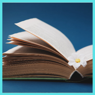 2025년교육급여바우처사용기간