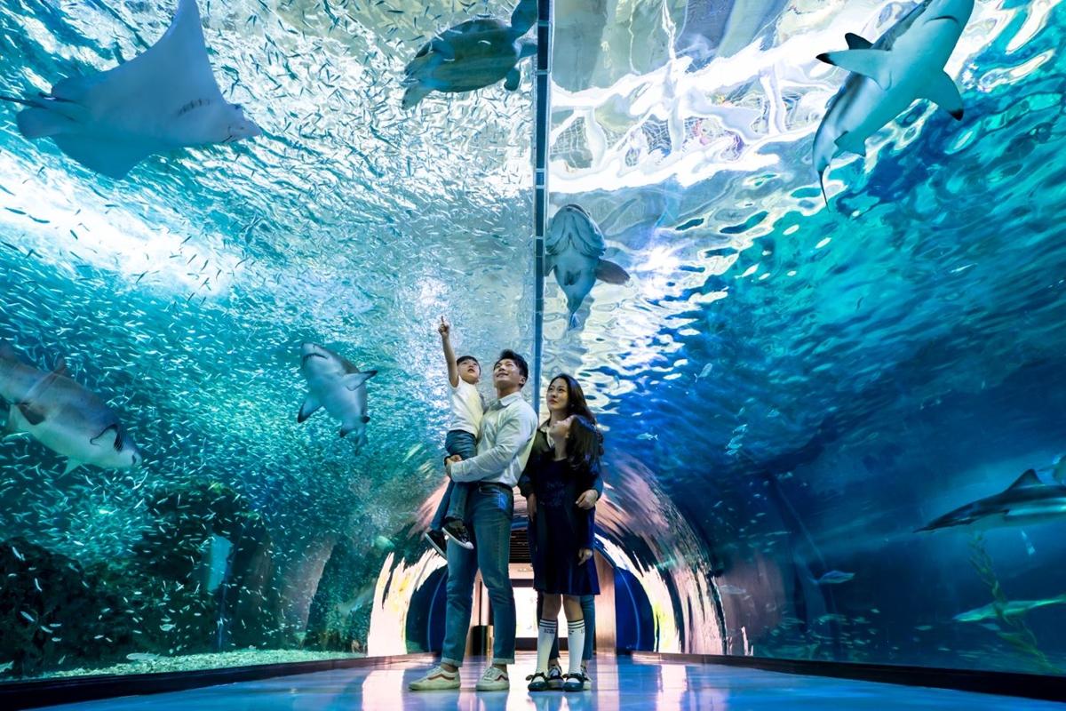 제주 아쿠아플라넷 관람 팁, 가족 여행에 좋은 실내 명소