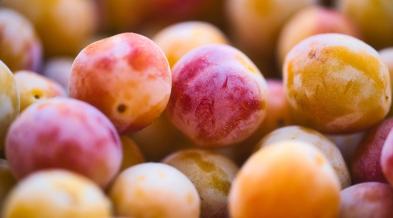 환기설비 시공비용과 유지관리법