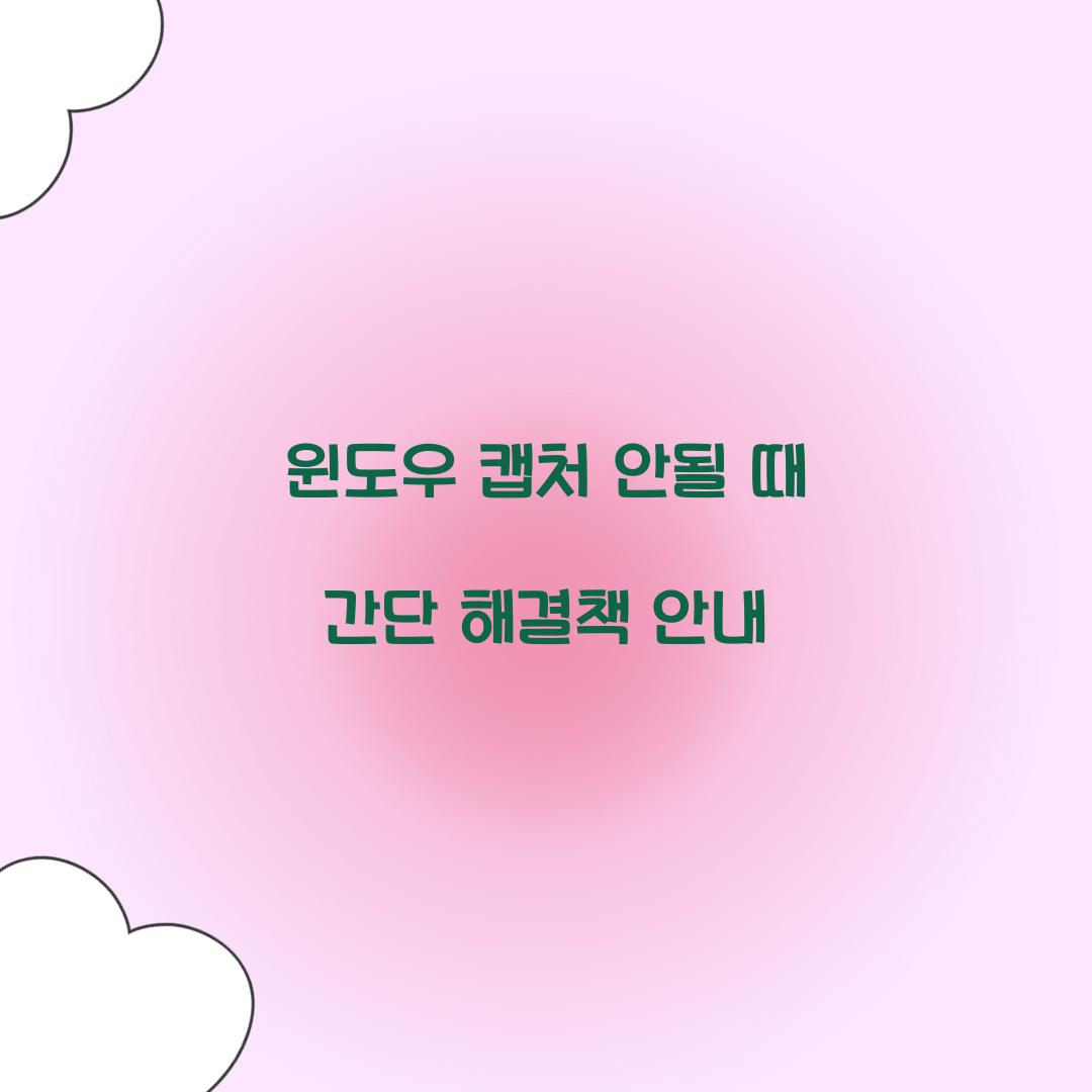 윈도우 캡처 안될 때