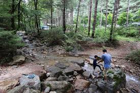 여름에 걷기 좋은 숲길 10