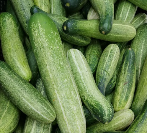 머리카락에 좋은 음식 10가지