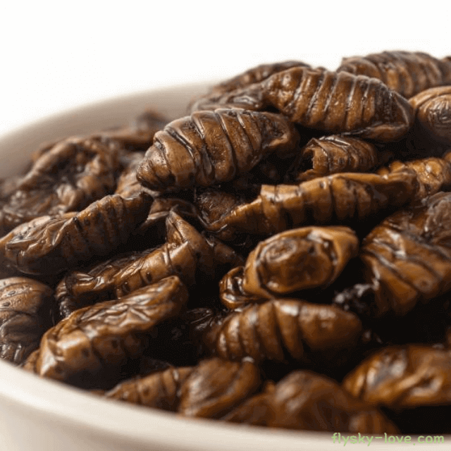 성장기에 도움이 되는 번데기