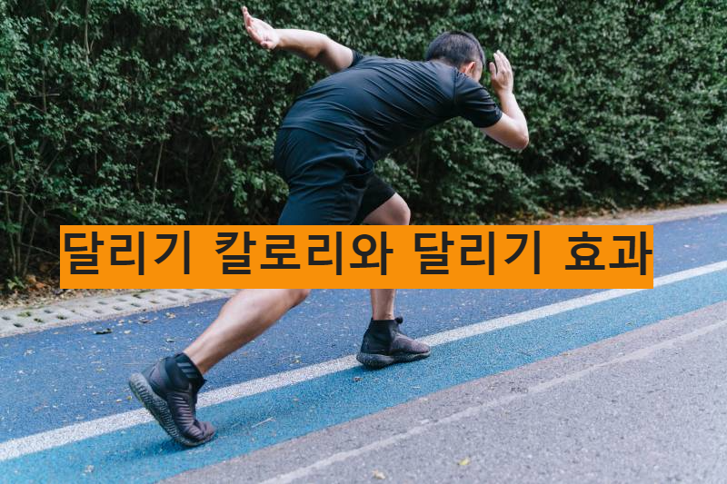 달리기 칼로리와 달리기 효과