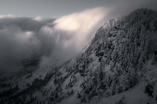 대한 인사말 이미지 뜻