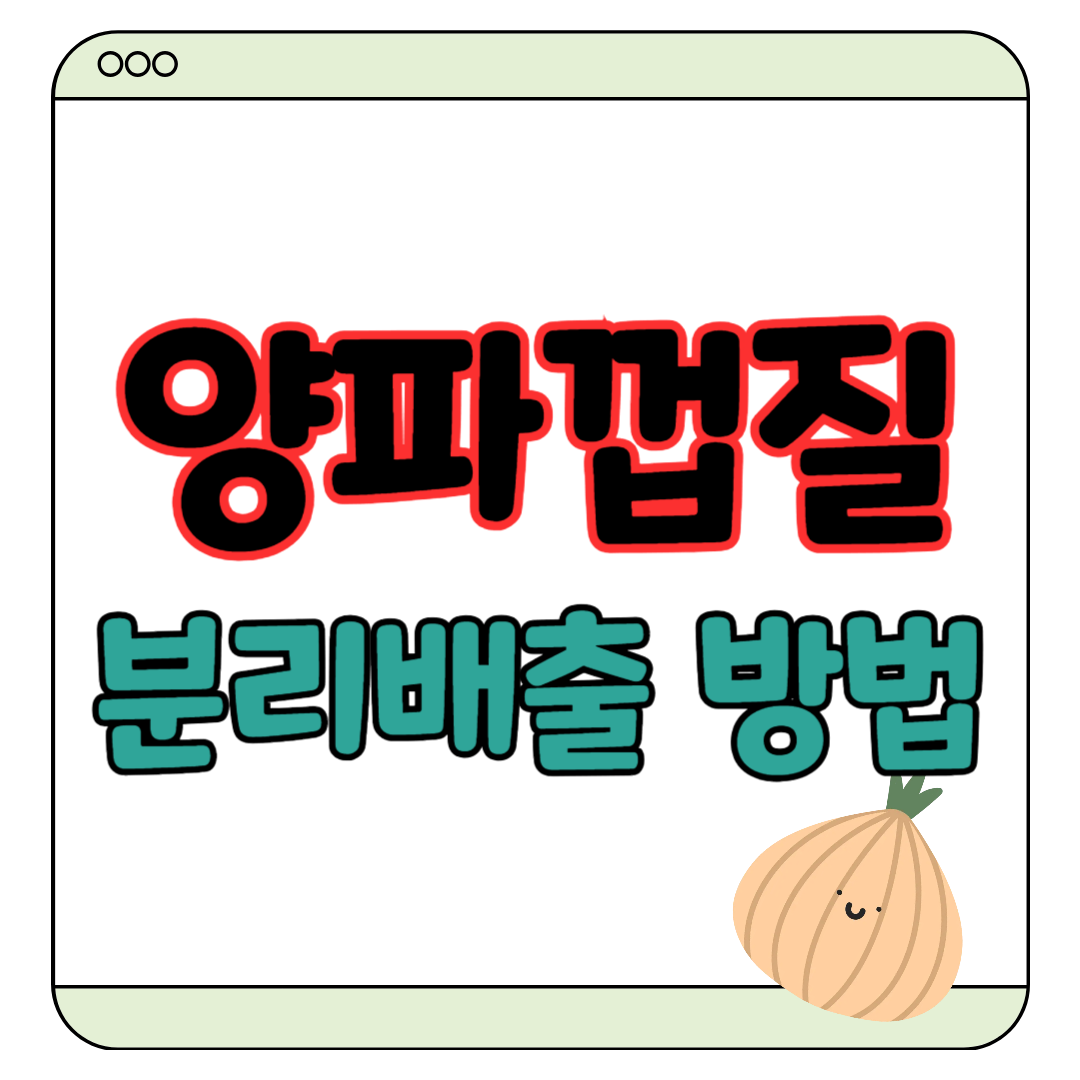 양파 껍질 음식물쓰레기