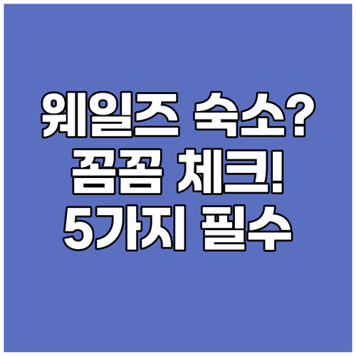 애버리스트위스 숙소 예약 전 필수 체
